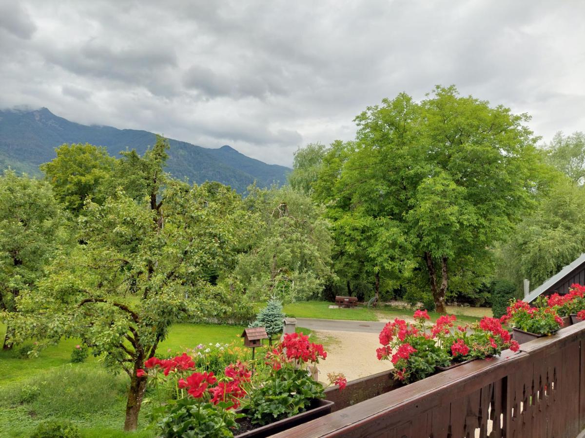 Apartments Susnik Bohinj Exterior photo